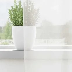 vidaXL Gordijnen van voile met lussen - Wit - 140x245 cm - Stof - 2 Stuks