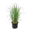 Planten|Tuinplanten-Plant in a Box Vingergras - Panicum virgatum 'Heavy Metal' - Hoogte 40-60cm - ⌀23cm