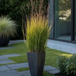 Planten|Tuinplanten-Plant in a Box Vingergras - Panicum virgatum 'Heavy Metal' - Hoogte 40-60cm - ⌀23cm